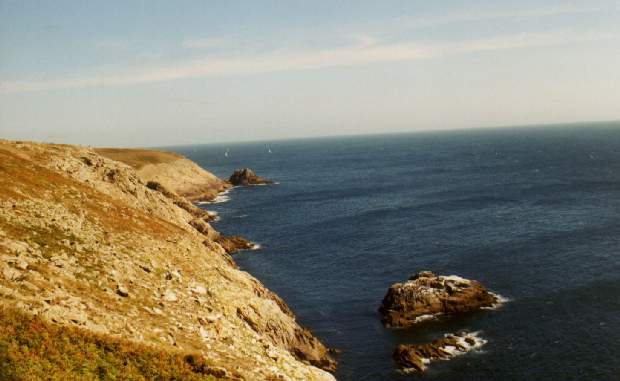 Zertretene Pflanzenwelt