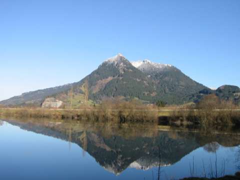 Gr&uuml;nten gespiegelt im Baggersee