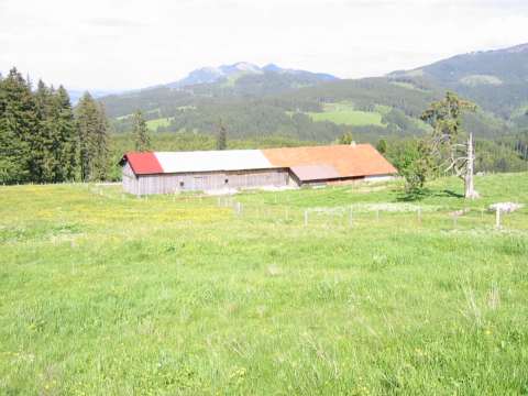 Vordere K&ouml;lle heute