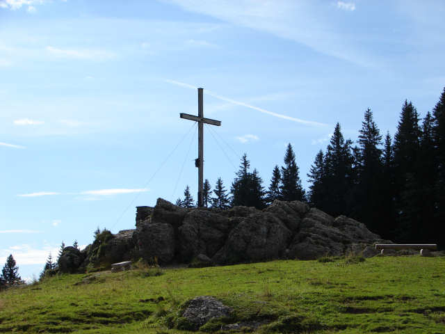 B&auml;renk&ouml;pfle