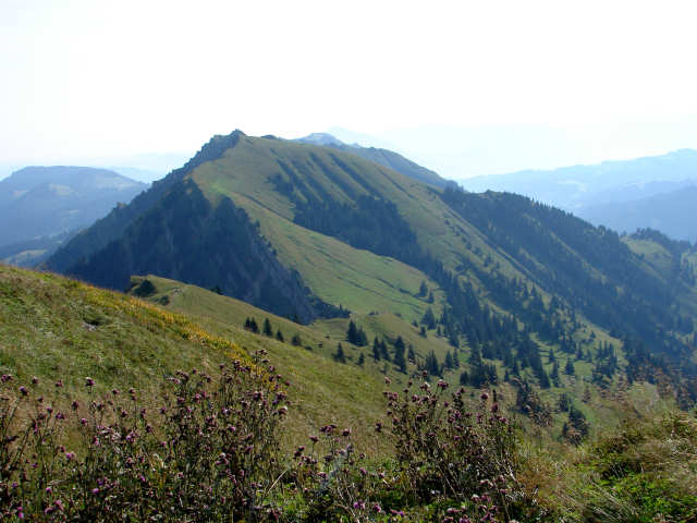 Blick auf den G&uuml;ndleskopf
