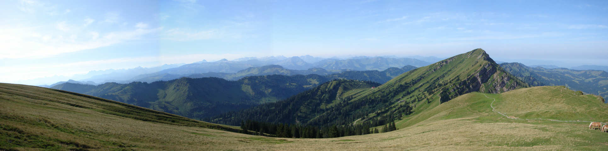 Panoramablick vom Rindalphorn