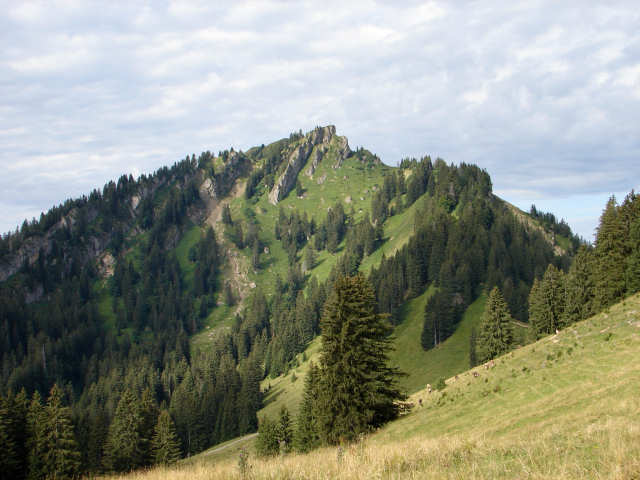 Steineberg