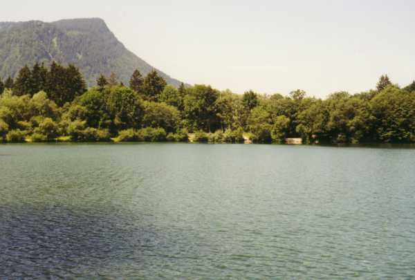 Rauhenzeller See