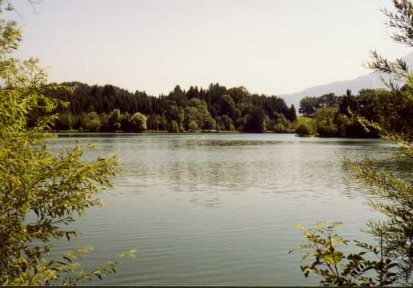Rauhenzeller See