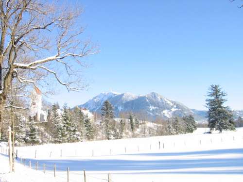 Rauhenzell mit Gr&uuml;nten