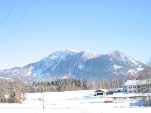 Gr&uuml;nten im Winter