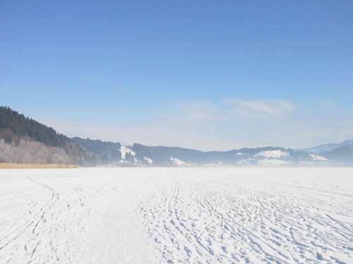 Winter am Alpsee