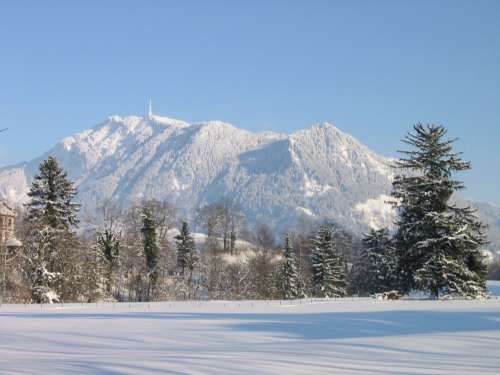 der Gr&uuml;nten im Winter