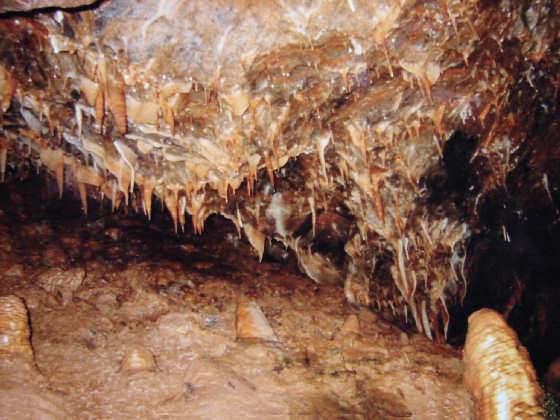 Drachenh&ouml;hle